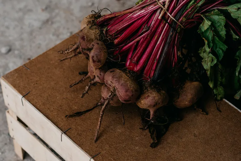 Beetroot baked in the ashes